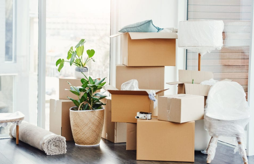 How to Pack Seasonal Items for a Move